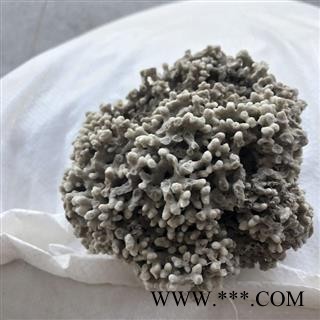 海浮石  海浮石花 白浮石 水泡石  产地 辽宁省图2