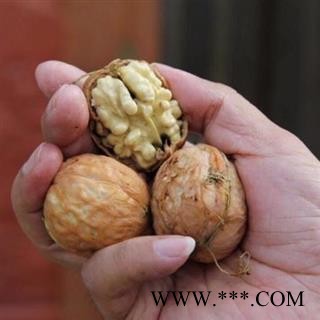 【老品种非矮化】秦岭老树山核桃无硫日晒为秦岭著名地产土特产图2