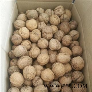 【老品种非矮化】秦岭老树山核桃无硫日晒为秦岭著名地产土特产图4