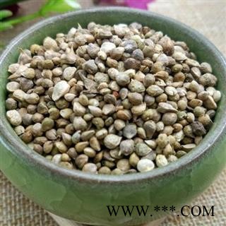 【买10送1】秦岭农家自种菠菜子 菠菜籽 手工捋子 日晒500g图2