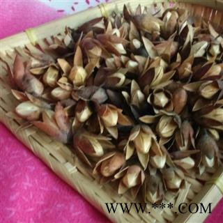 【新货】香椿子 秦岭椿树子 新货无硫自采日晒原生态香菱子500g图3