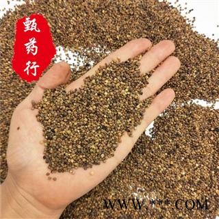 菟丝子 大菟丝子干净统货 一手货源批发 产地四川 甄选药材行图3