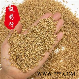 柏子仁 去壳好统货 去壳率90%以上 产地河北 甄选药材行图3