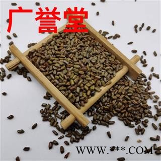 决明子 选货 产地 河南省图3