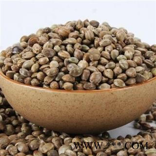 火麻仁 秦岭正品特级籽 山民自捋 日晒无硫500g图2