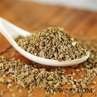 【新货】秦岭天然蛇床子 野萝卜籽 山民自捋 过筛无杂日晒500g图3