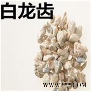 小丽百草行中药材龙齿 白龙齿  产地宁夏图3