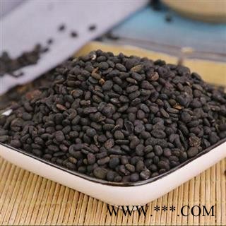 【新货】秦岭野生补骨脂 老乡自捋手工分拣日晒无硫1000g图2