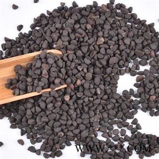 秦岭优质牵牛子 黑丑 喇叭花籽 山民自捋 日晒1000g图3