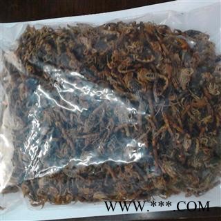 全蝎 产地 宁夏回族自治区吴忠市同心县图4