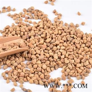 秦岭优质白丑 牵牛花子 喇叭花籽 手工捋子 日晒1000g图3