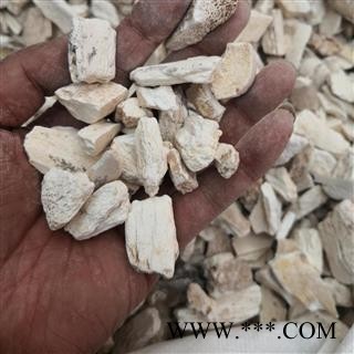 中药材 龙骨 水洗龙骨块 德誉堂药业批发各种中药材图4