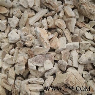 中药材 龙骨 水洗龙骨块 德誉堂药业批发各种中药材图3