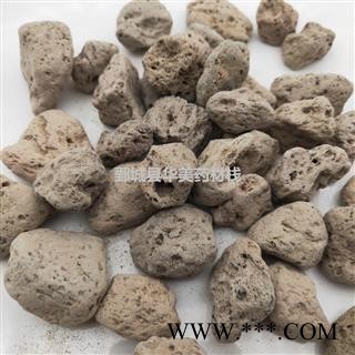 海浮石1000克【至臻华美】中药材批发供应【海浮石】海浮石图3