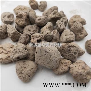 海浮石1000克【至臻华美】中药材批发供应【海浮石】海浮石图4