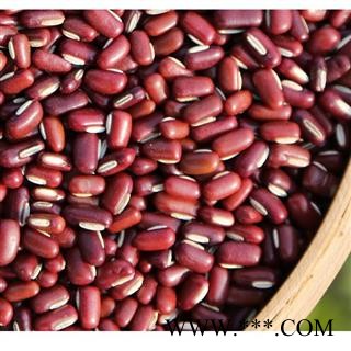 赤小豆 赤小豆统货 产地 山东省 道地药材 发货快 支持小包装拿样 7天无理由退货图3