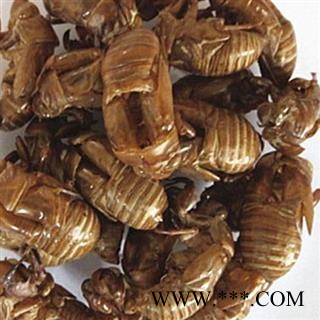 蝉蜕 蝉蜕选 1000克促销批发价产地 安徽省大货批发价图2