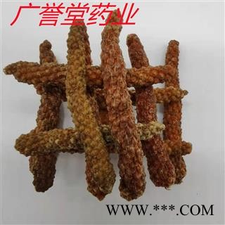 荜拨 统 产地 广西壮族自治区图3