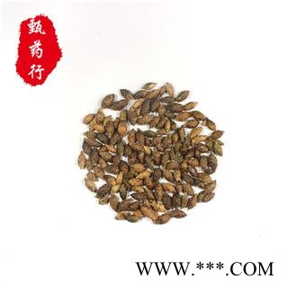 苍耳子 苍耳子后期黄褐色统货 产地 内蒙古 1公斤装图2