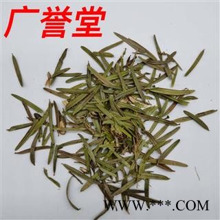 三尖杉 统货 产地 贵州省图4