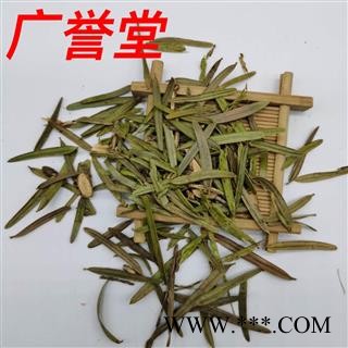 三尖杉 统货 产地 贵州省图2