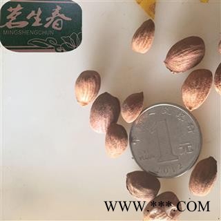 带皮桃仁 山桃仁选货 产地 山东省 茗生春药材总公司 一手货源 7天无理由退换图2