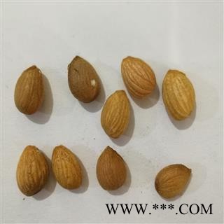 《满198包邮》山桃仁 山桃仁统货  产地 山西省图2