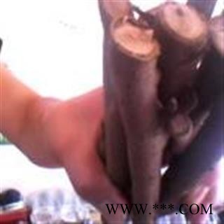 新鲜野生核桃树根大别山深山中药材/另有核桃枝图2