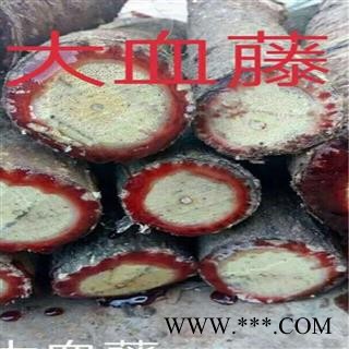 野生新鲜白血藤 生品血藤 大血藤 白肉鸡血藤 白花血藤 现砍现发保证新鲜 整条发货
