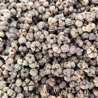 吴茱萸 吴茱萸中花统货 无杆 产地 广西壮族自治区河池市图4