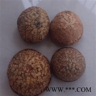 灵吉药业 风流果 壮阳果,补肾果，益肾子,马牯 正品 批发各种规格中药材   矿石  花茶  野生冷背中药材图3