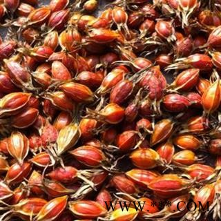 栀子 新货 小栀子 正品 促销图3