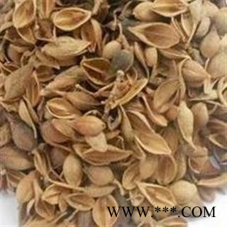 《满198包邮》黄翘 老翘（黄翘）选货 道地好药 药劲十足 产地 山西省图2