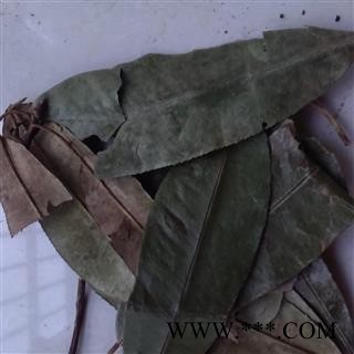 灵吉药业  石楠叶 促销价 质量好 批发各类中药材  花茶  矿石 冷背珍稀野生药材