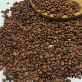 莱菔子 炒莱菔子统货 产地 山东省图2