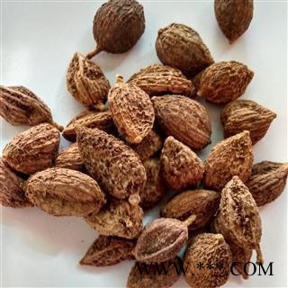 砂仁 阳春壳砂仁炕干统货 产地 云南省图2