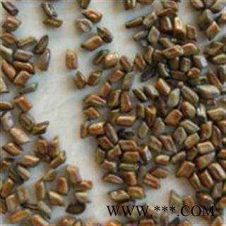 决明子 国产决明子选货 干净 无杂质 产地 山东省菏泽市图3