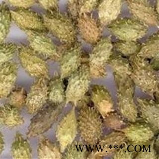 灵吉药业 苍耳子 道地药材 货真价实 批发各种规格规格中药材 花茶 矿石 冷背珍稀野生药材图2