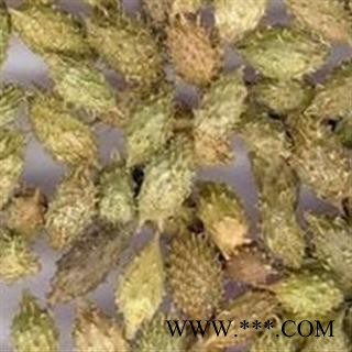 灵吉药业 苍耳子 道地药材 货真价实 批发各种规格规格中药材 花茶 矿石 冷背珍稀野生药材图3