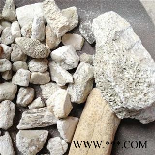 龙骨 龙骨选货 产地 宁夏回族自治区 凯捷中药图4