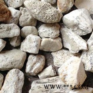 龙骨 龙骨选货 产地 宁夏回族自治区 凯捷中药图3