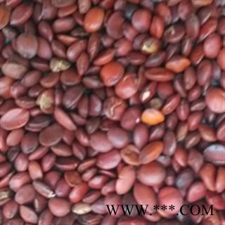 灵吉药业  酸枣仁   枣仁 道地药材  货真价实图2