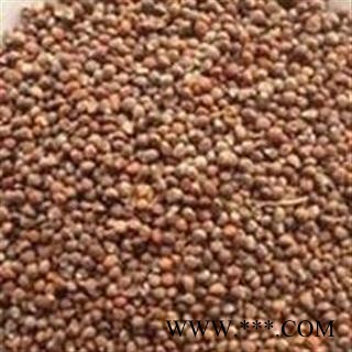 《满198包邮》苏子 紫苏子净货 产地 山东省图2