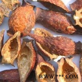 金樱子 金樱子肉后期选货去核率98%以上 产地 江西省图2