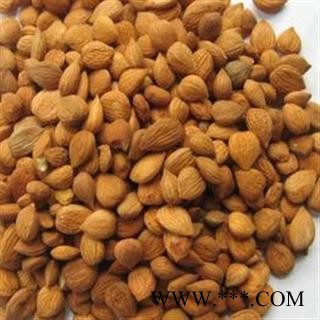 苦杏仁 苦杏仁统货 产地 山东省图1