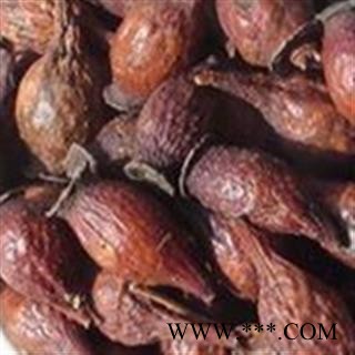 金樱子 金樱子统货  产地 江西省鹰潭市图3