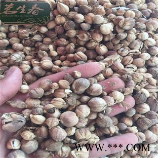 白豆蔻 白豆蔻统货 茗生春药材总公司 一手货源 7天无理由退换图2