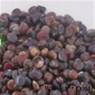 灵吉药业  枳椇子  别名 拐枣 地道药材图3