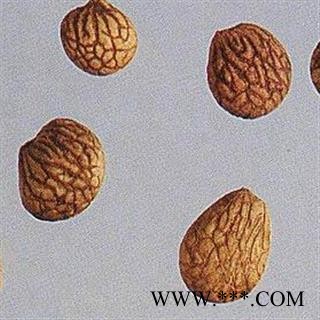 灵吉药业  蕤仁  别名：蕤核、蕤子、白桵仁图2