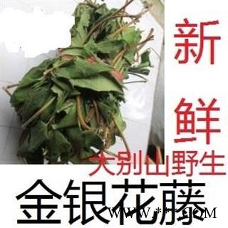 金银花藤 选 产地 湖北省黄冈市麻城市新鲜忍冬藤野生中药材
